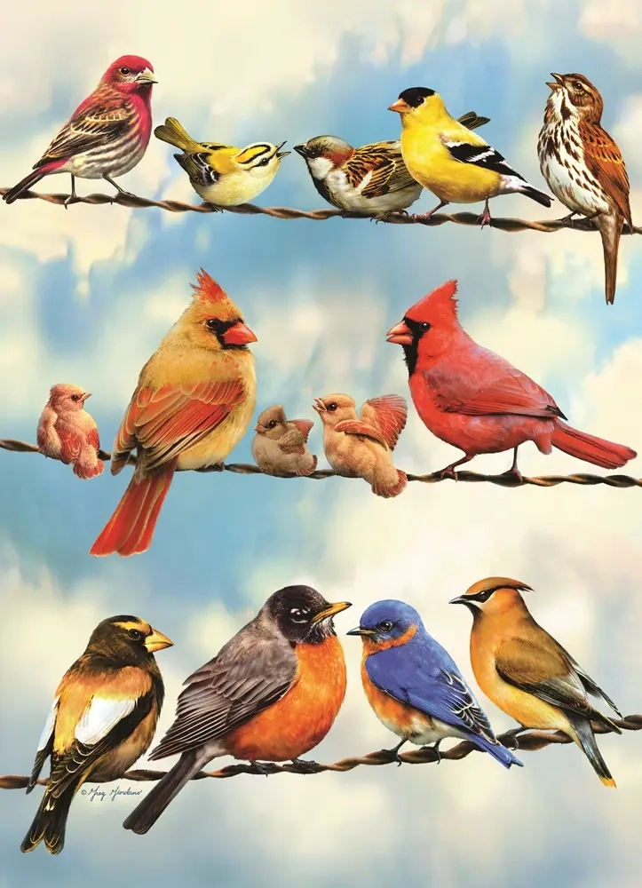 Bunte Vögel auf der Freileitung - mit Poster
