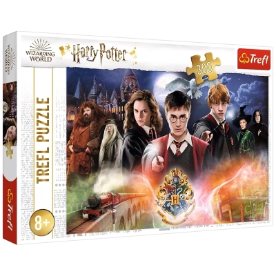 Harry Potter - 300 Teile