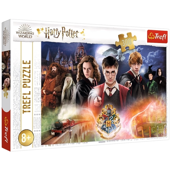 Harry Potter - 300 Teile