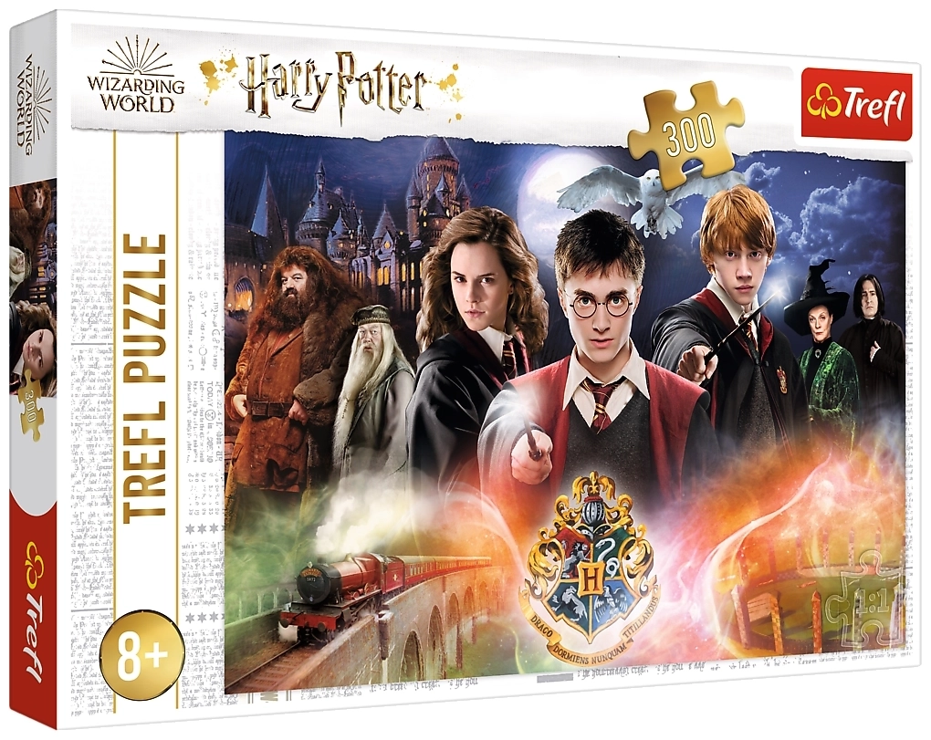 Harry Potter - 300 Teile
