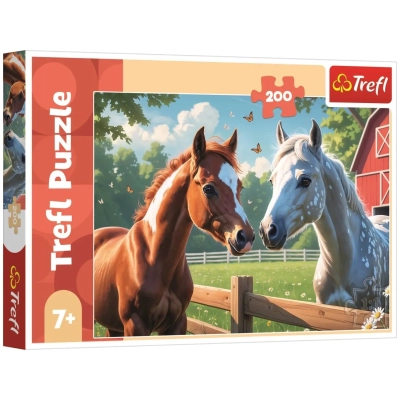 Horses in the clearing