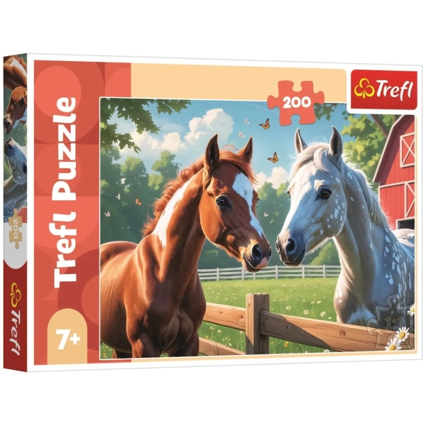 Horses in the clearing