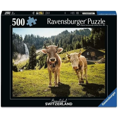 Schweizer Kühe - Schweiz