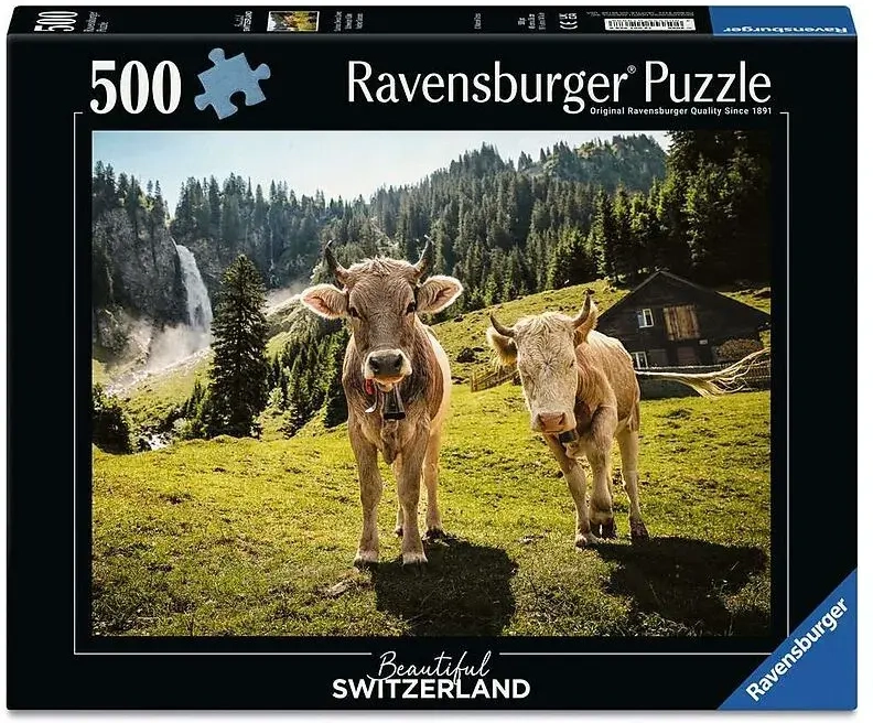 Schweizer Kühe - Schweiz