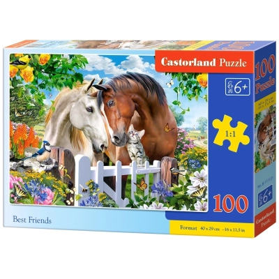 Beste Freunde - 100 Teile