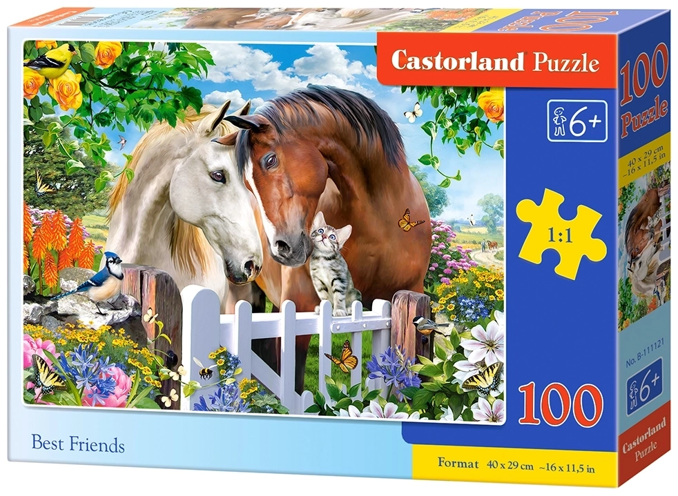 Beste Freunde - 100 Teile