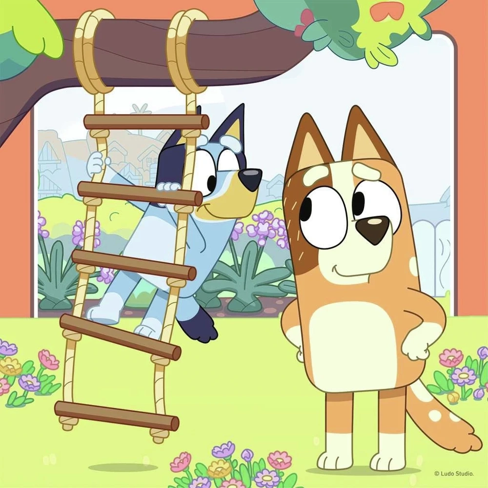 Bluey: Erinnerungen schaffen - 3 x 49 Teile