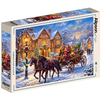 Weihnachtsfahrt mit der Kutsche