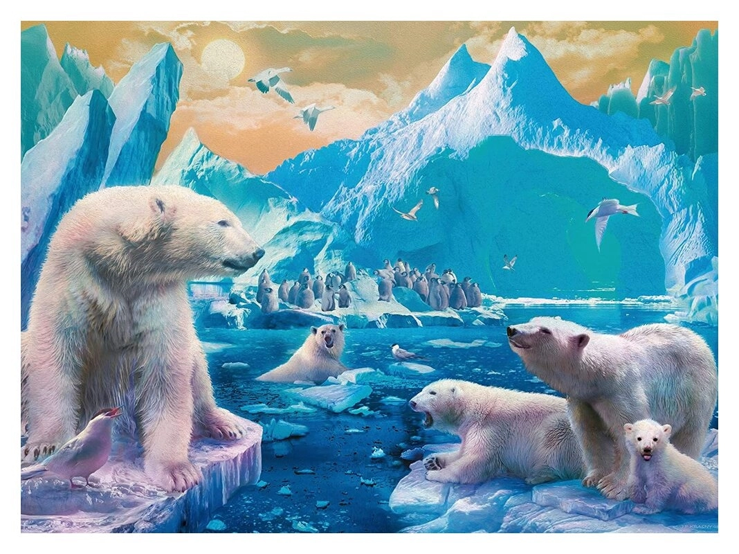 Im Reich der Eisbären