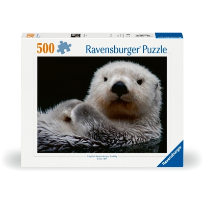 Süsser kleiner Otter