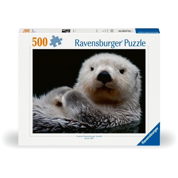 Süsser kleiner Otter