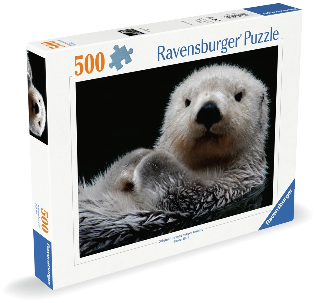Süsser kleiner Otter