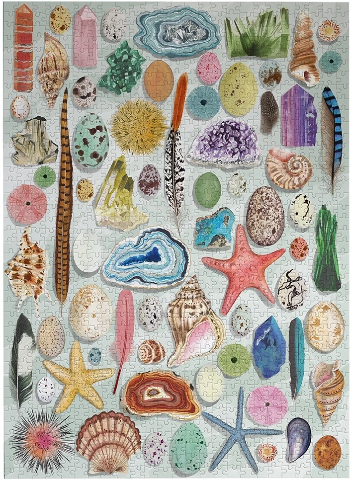The Art File: Natural Curiosities