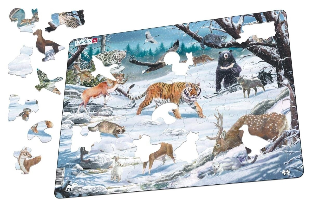 Winter Wildlife in Siberia and Northeast Asia