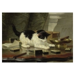 Spielende Katze - Henriette Ronner-Knip