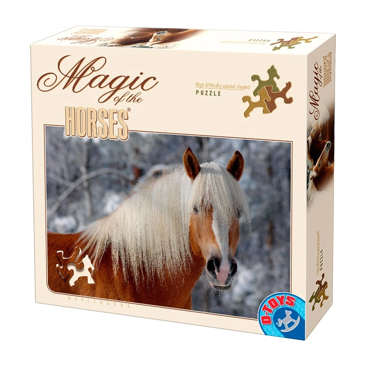 Haflinger Pferdekopf - Magie der Pferde