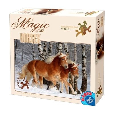 Galoppierende Haflinger - Magie der Pferde