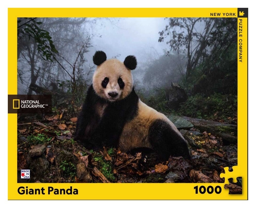 Giant Panda