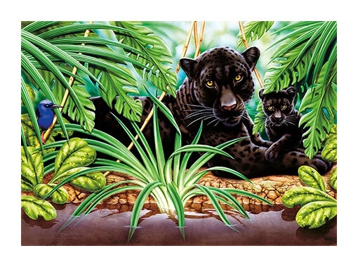 Panther