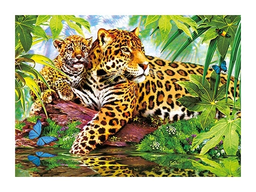 Leopard