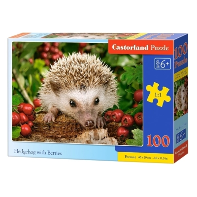 Hedgehog with Berries