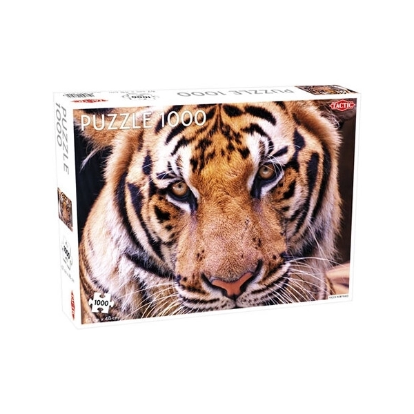 Tiger-Porträt