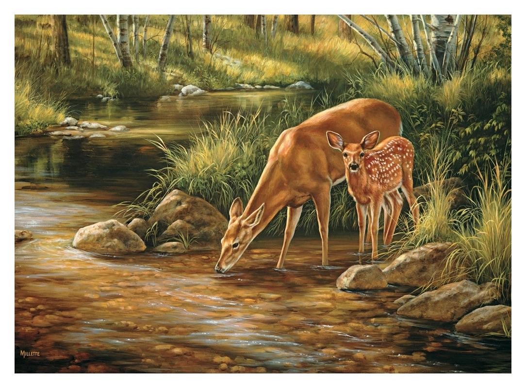 Deer Family
