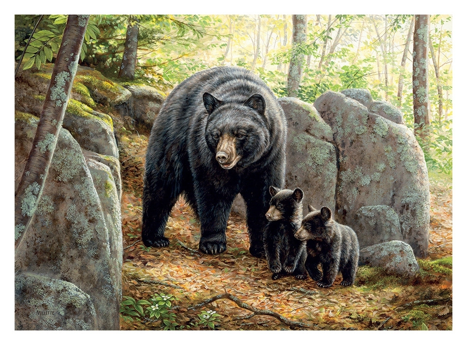Mama Bear