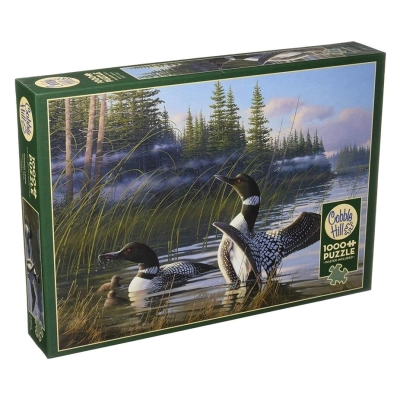 Common Loons