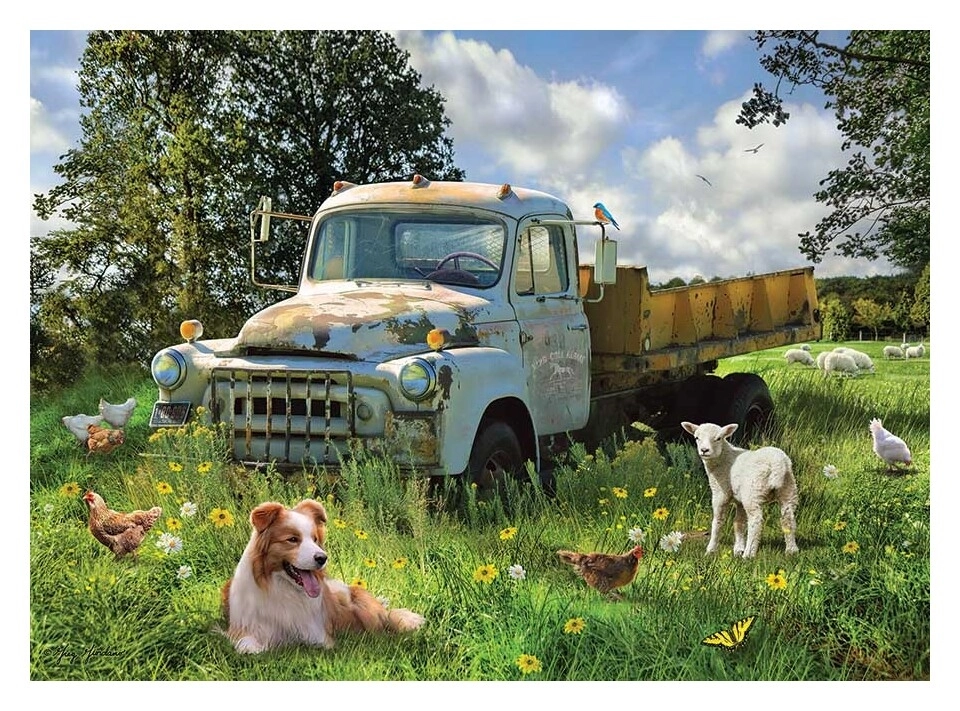 Sheep Field