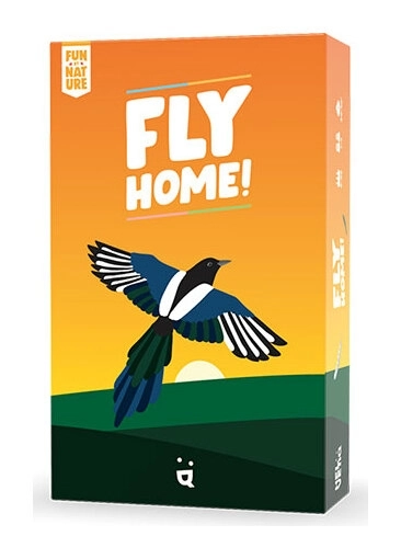 Fly Home!