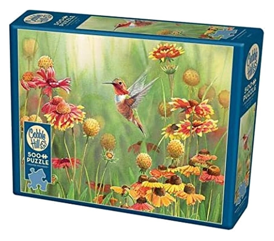 Rufous Hummingbird