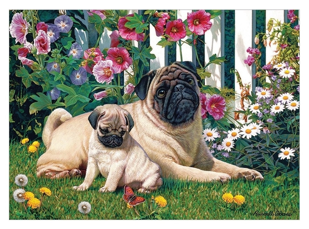 Pug Family