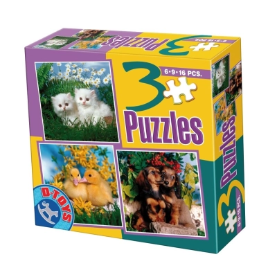 Schmusetiere - Katzen - Küken - Hunde