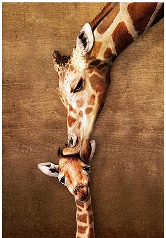 Kuss der Giraffenmutter