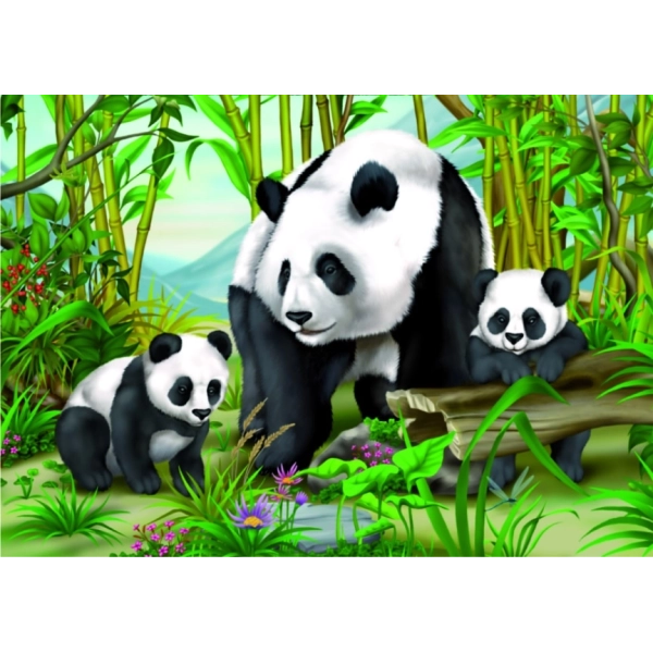 Pandas im Jungle