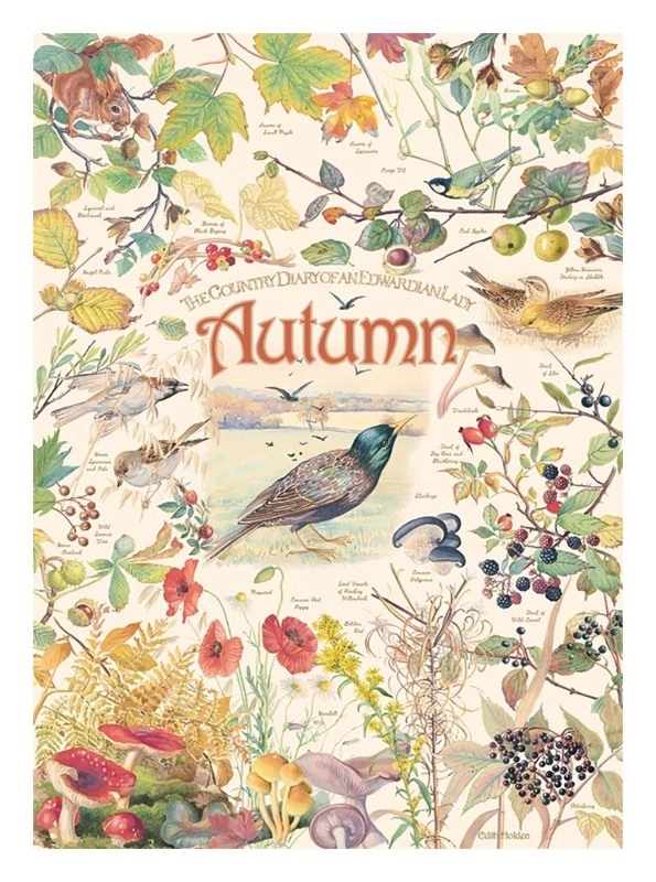 Country Diary - Autumn