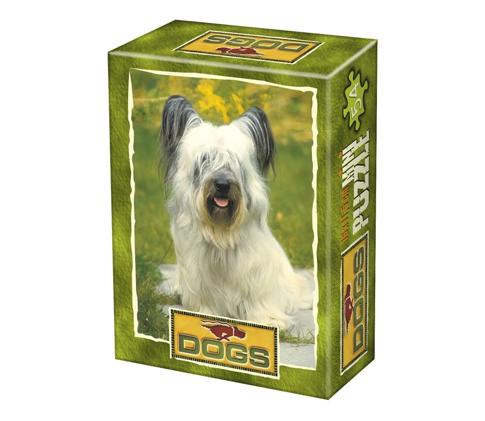 Hund - Wo seid ihr?