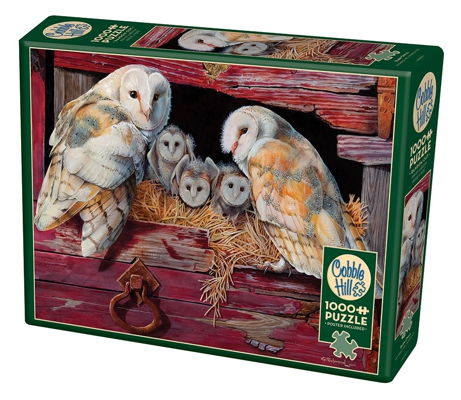 Barn Owls