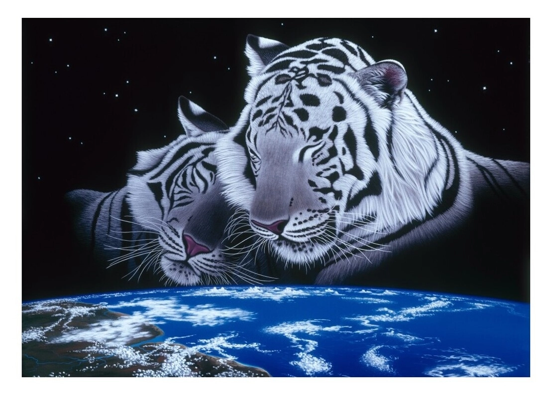 Sleep Tight - Schim Schimmel