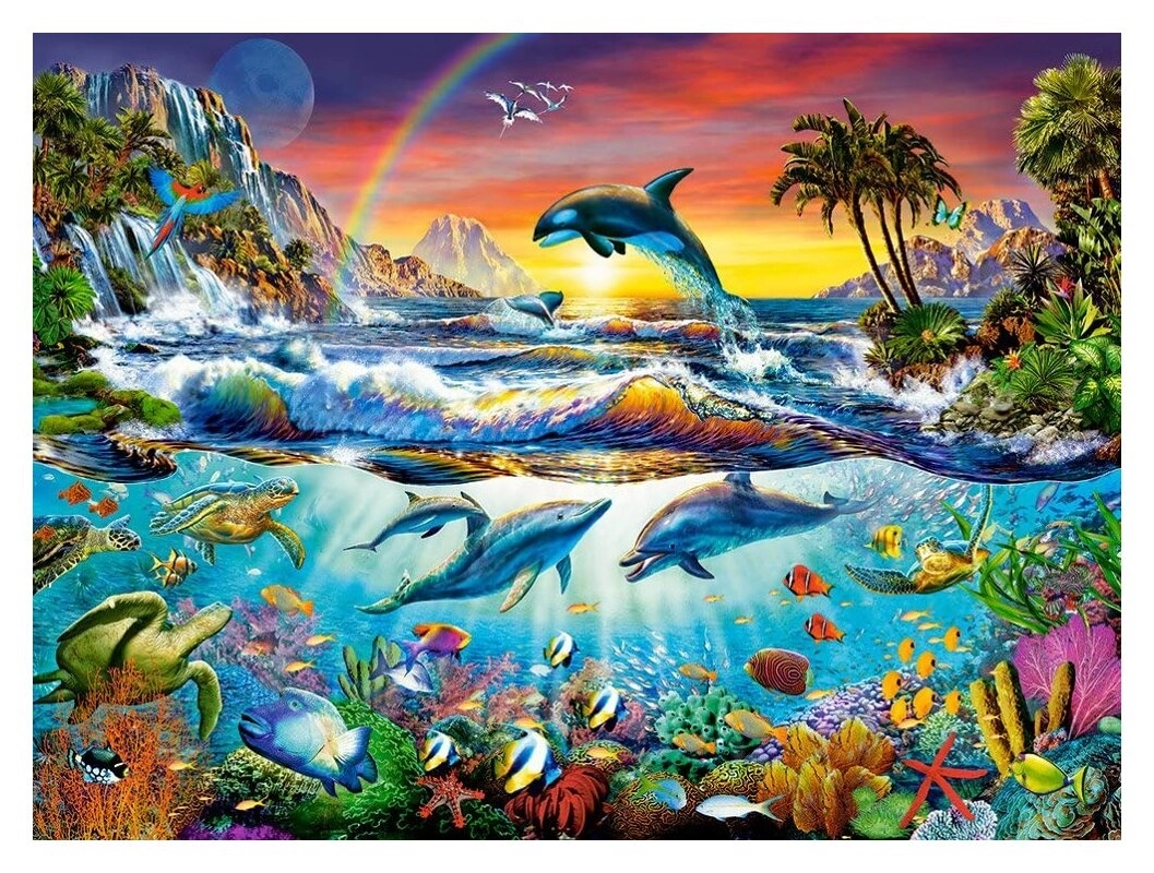 Paradise Cove