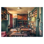 Mysterious castle library - Lost Places