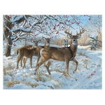 Winter Deer