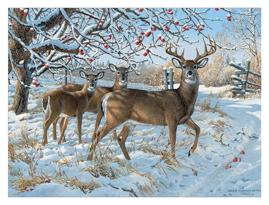 Winter Deer