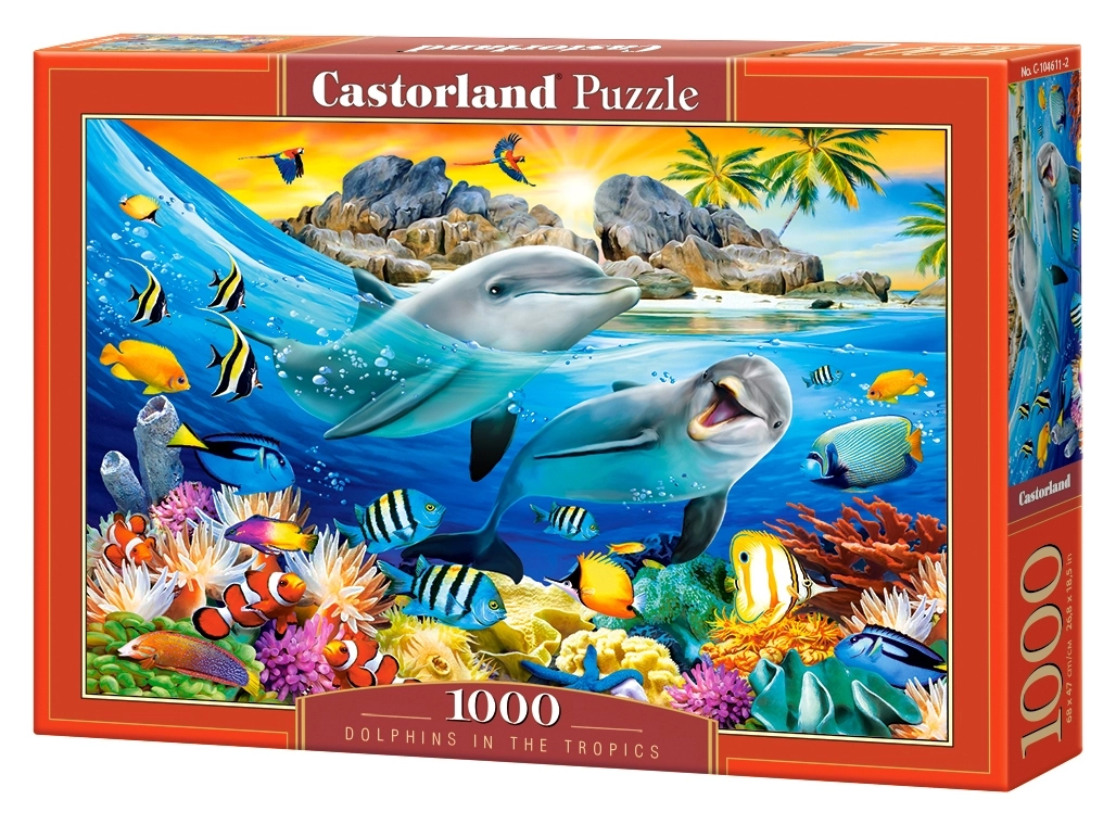 Dolphins in the Tropics