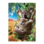 Koala mit Koala-Baby