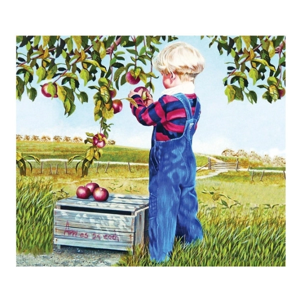 Apple Picking - Patricia Bourque