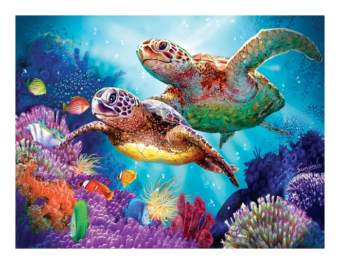 Turtle Guardian - Steve Sundram