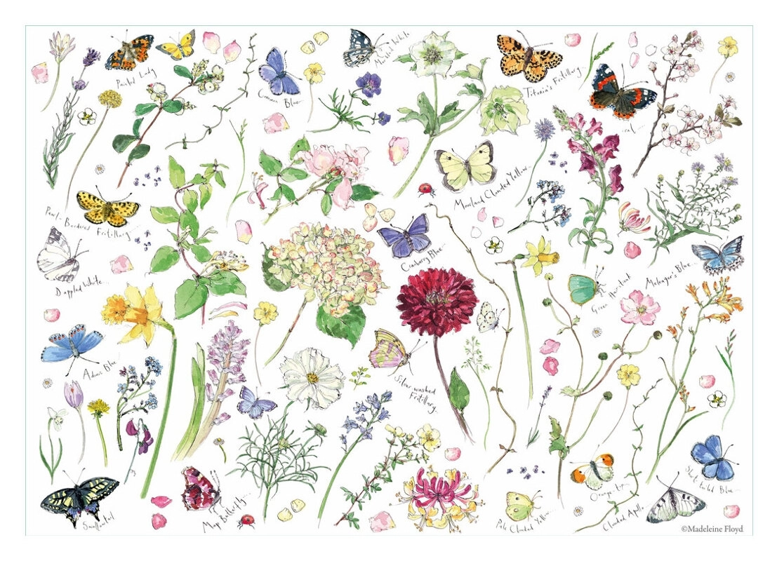 Blumen und Schmetterlinge
