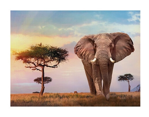 Sonnenuntergang in Afrika